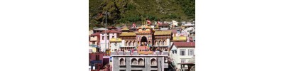 விஷால்பத்ரி